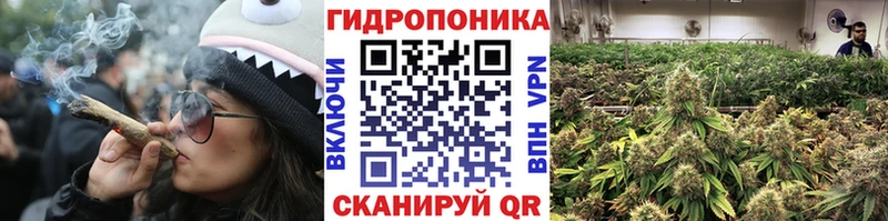 Купить наркотики сайты Новый Уренгой АМФ Меф Alpha PVP Гашиш COCAIN