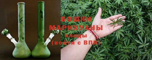амф Бронницы